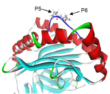 case3_fig1.png